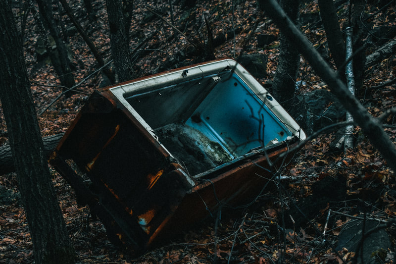 old appliance in the woods